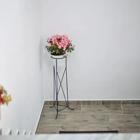 Egje Appartement Gjirokastër