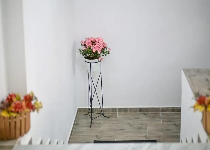 Egje Apartamento Gjirokastër